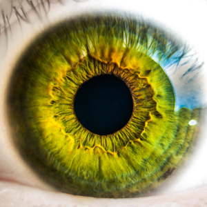 Eye for CL